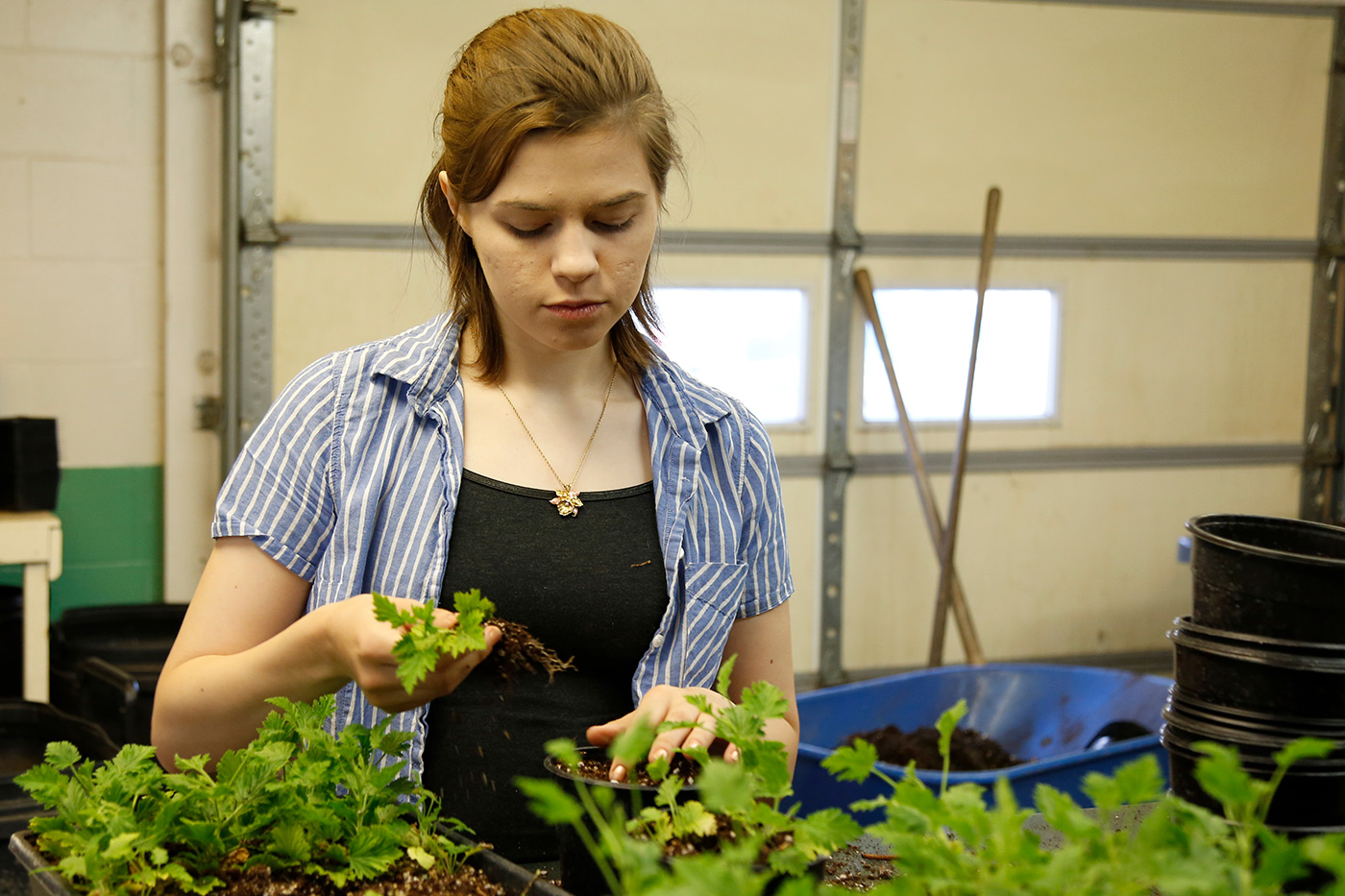colleges for phd in horticulture