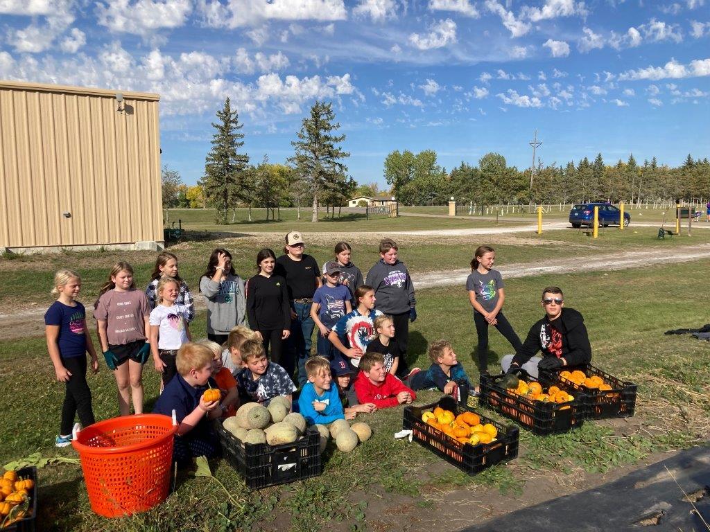 Pumpkin Harvesting (2).jpg