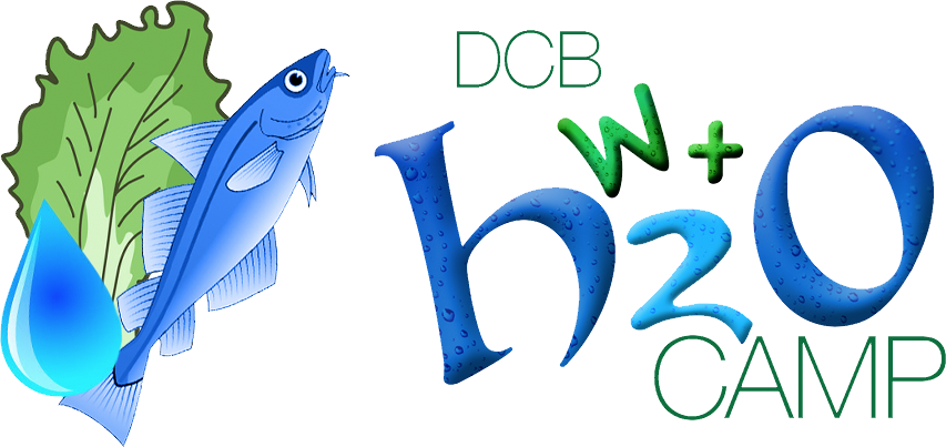 wh2ocamp-logo.png