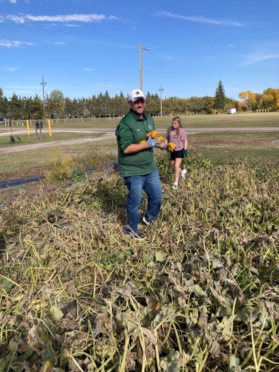 Pumpkin Harvesting (4).jpg