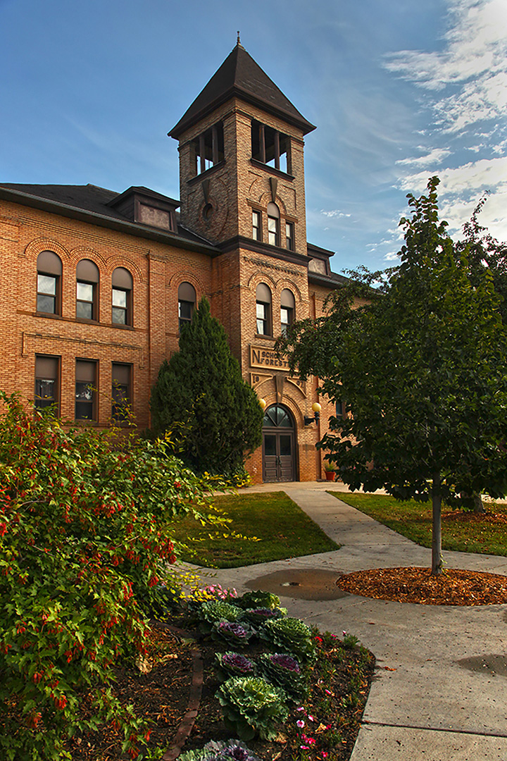 oldmainarborday.jpg