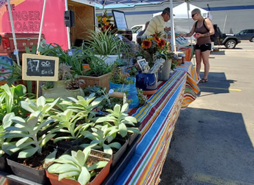 Assessment of Farmers Market In Progress