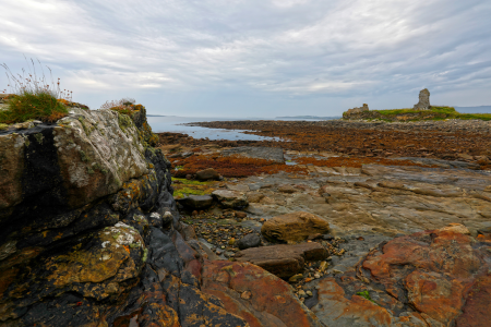 Saunders_008.jpg