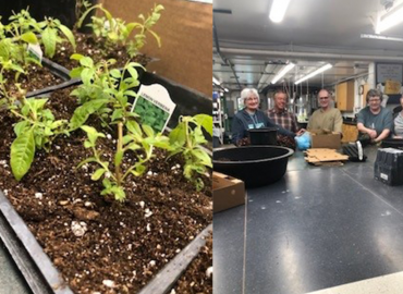 Greenhouse Volunteers Assist With Planting Flowers