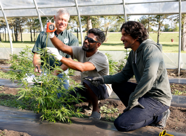 Dakota College Campus Conducts Hemp Trials