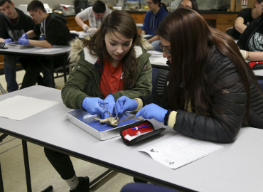 Virtual STEM Day Planned