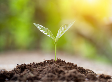 2026 DCB Conservation Award