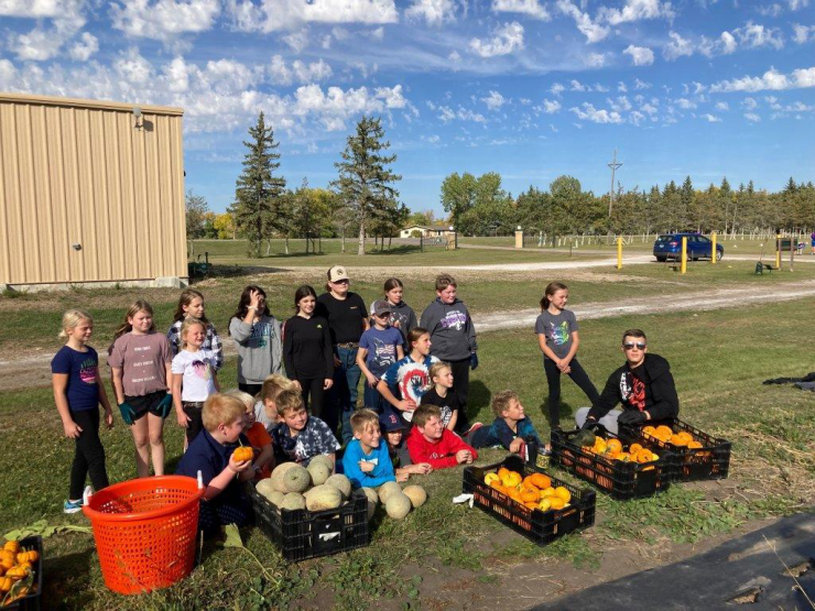 Pumpkin Harvesting (2).jpg