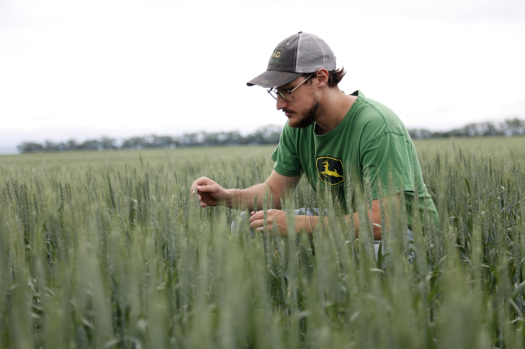 Agriculture_0091.jpg