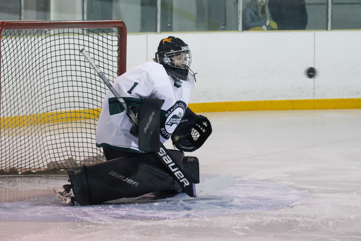 HockeyChloe.jpg