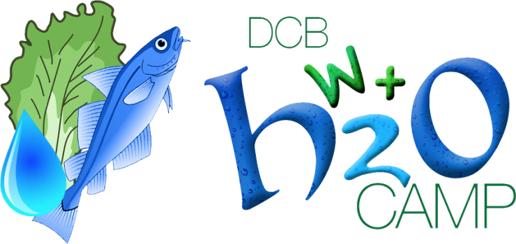 wh2ocamp-logo.png