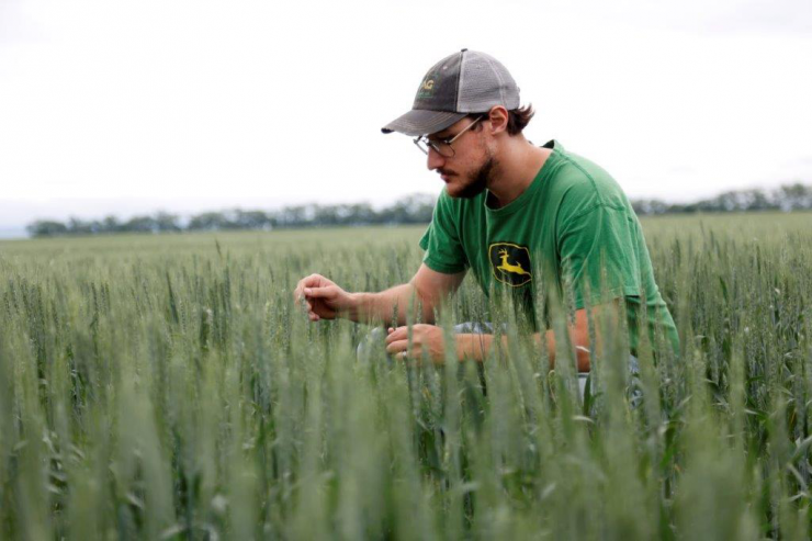 Agriculture_0091.jpg